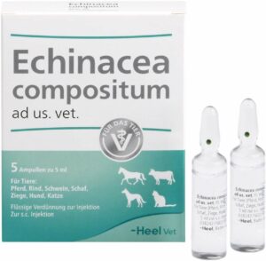 Echinacea Compositum Ad Us. vet. 5 Ampullen