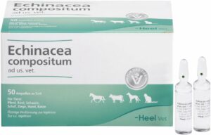 Echinacea Compositum Ad Us. vet. 50 Ampullen