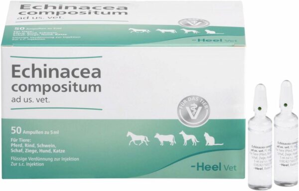 Echinacea Compositum Ad Us. vet. 50 Ampullen