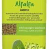Biosnacky Sprossensamen Alfalfa 40 G